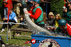 20080629 EX Radikov 039.jpg