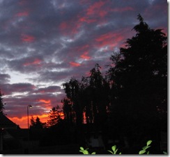 IMG_8767 IMG_8767