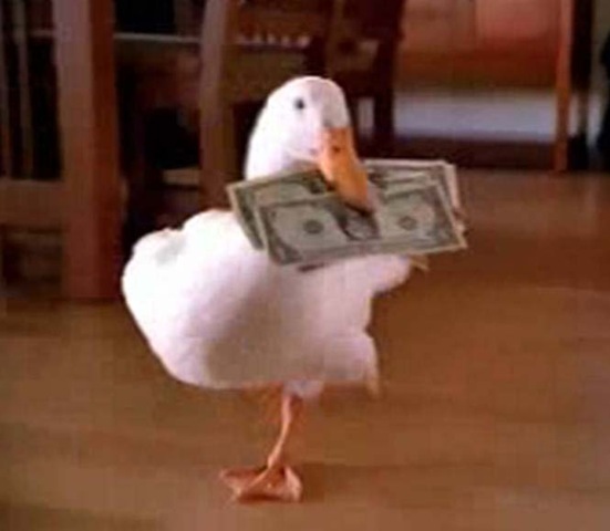 [duck_with_money_in_bill_photo[2].jpg]