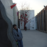 DSC05177.jpg