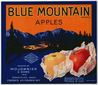 [APbluemountain5.jpg]