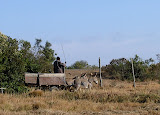 10.JPG