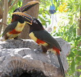 IMG_0964.JPG