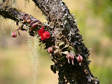 DSCN8628.JPG