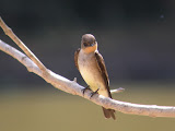 DSCN8834.JPG