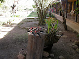 DSCN8855.JPG