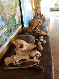 DSCN8871.JPG