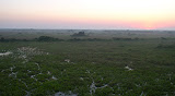 Sunrise from theTower @ Araras.JPG