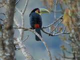 IMG_0085.JPG