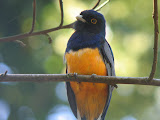 IMG_0091.JPG