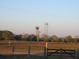IMG_0586.JPG