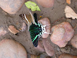 DSCN9501.JPG