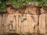 DSCN9484.JPG
