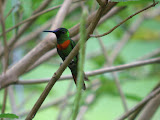 IMG_1092.JPG