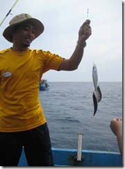 ciku 1st ciku 1st