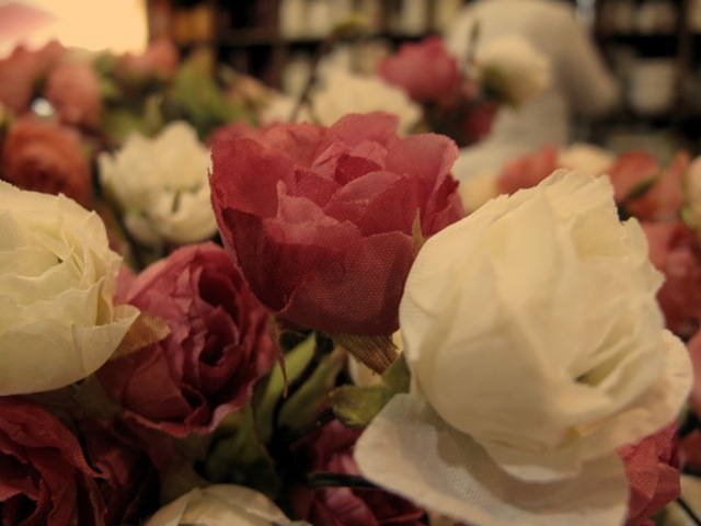 [Picture0114.jpg]