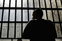 Вместо клада 150 суток общественных работ Вместо клада 150 суток общественных работ