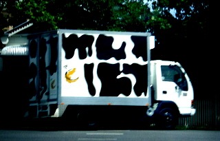 [Moo_Truck[8].jpg]