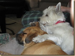 Snuggle2