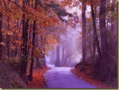 paintbox12