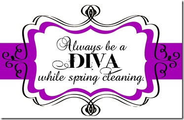 CLEANING DIVA TAG