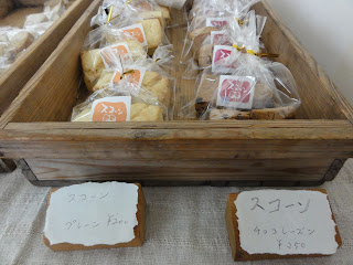 DSC04550.JPG