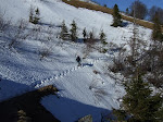 http://lh3.ggpht.com/_Vkwoux6RVCU/R8a1LcuHUyI/AAAAAAAACCU/NOIGzbceun4/R3_509.JPG