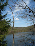 http://lh3.ggpht.com/_Vkwoux6RVCU/SB1_7Y0c-VI/AAAAAAAAC14/zOdLxyJjFe8/P1010511.JPG