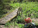 http://lh3.ggpht.com/_Vkwoux6RVCU/SB30EI0dBXI/AAAAAAAADP8/5ofRCxvcgR4/Sure2008_222.JPG