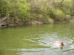 http://lh3.ggpht.com/_Vkwoux6RVCU/SB30SI0dBbI/AAAAAAAADQg/Wx5xRFrYpXI/Sure2008_227.JPG