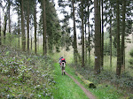 http://lh3.ggpht.com/_Vkwoux6RVCU/SB3vjI0dANI/AAAAAAAADGU/s_vfvnB1XQo/Sure2008_134.JPG