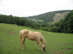 http://lh3.ggpht.com/_Vkwoux6RVCU/SKCE33ljM5I/AAAAAAAAEtY/407XRmYHbGI/Mont_011.JPG