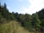 http://lh3.ggpht.com/_Vkwoux6RVCU/SM4GIA8sXgI/AAAAAAAAFKc/rCijaXpnoqU/Weisserstein%20007.jpg