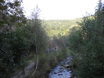 http://lh3.ggpht.com/_Vkwoux6RVCU/SOO01eYKntI/AAAAAAAAFl8/ZYh2spU91wc/Ovifat%20059.jpg