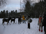 http://lh3.ggpht.com/_Vkwoux6RVCU/SSqGXi8i20I/AAAAAAAAHoU/2e6bvvLBu4g/WE%20Halconreux%20091.jpg