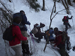 http://lh3.ggpht.com/_Vkwoux6RVCU/SYR45tmUcZI/AAAAAAAAI-8/TY-_46DVWZw/Photos%20Vosges%202009%20105.jpg