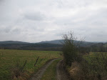 http://lh3.ggpht.com/_Vkwoux6RVCU/SY_nGqe5l1I/AAAAAAAAJLE/gnQM2t85D3s/BomalsurOurthe%20006.jpg
