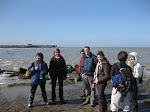 http://lh3.ggpht.com/_Vkwoux6RVCU/Sb4DNHLYwqI/AAAAAAAAJkE/SRZowJGJxnk/Zeebrugge%20014.jpg