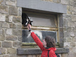 http://lh3.ggpht.com/_Vkwoux6RVCU/Scd_Uk5p2hI/AAAAAAAAJtI/21m49nqdyLI/Manhay%20009.jpg