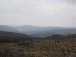 http://lh3.ggpht.com/_Vkwoux6RVCU/Scd_d2OohpI/AAAAAAAAJto/wLe7c2ulYwA/Manhay%20013.jpg