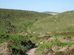 http://lh3.ggpht.com/_Vkwoux6RVCU/Sh7Jq-1p4II/AAAAAAAAKc4/FgJAHij_AuI/Cornwall%20277.jpg