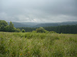 http://lh3.ggpht.com/_Vkwoux6RVCU/Sj6J2XzLy4I/AAAAAAAAKqQ/gEEtNDzy9mQ/P1020989.JPG