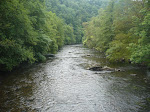 http://lh3.ggpht.com/_Vkwoux6RVCU/Sj6J3IBYn6I/AAAAAAAAKqU/eVmmAYJpuHI/P1020990.JPG