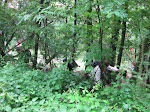 http://lh3.ggpht.com/_Vkwoux6RVCU/SkB9mX2JNAI/AAAAAAAALI4/Ucvfc-VFWdk/Coo%20025.jpg