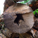 http://lh3.ggpht.com/_Vkwoux6RVCU/Sl2dt3hKbMI/AAAAAAAANk0/lDmJXdqrbUs/20.jpg