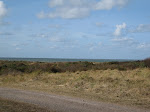 http://lh3.ggpht.com/_Vkwoux6RVCU/SsmfmECFzHI/AAAAAAAAOAE/QQAg1ahM9yk/Walcheren%20069.jpg