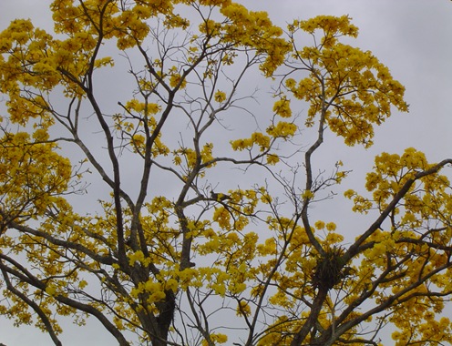 DSC00109 DSC00109