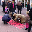 PIC_2216.JPG