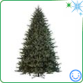 Living Christmas Tree