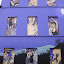 DSCN6747.JPG
